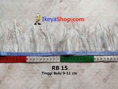 RB 15  large2